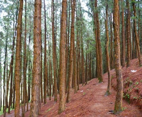 Nearby Taxi Service, Nearby Taxi Service in Madurai, Madurai to Kodaikanal Taxi Services