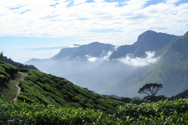 Best Car Rental in Madurai, Nearby Taxi Service, Car Rental in Madurai